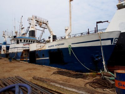 Thomas Nygaard, IMO 7234375 at Grenaa, Denmark pic2