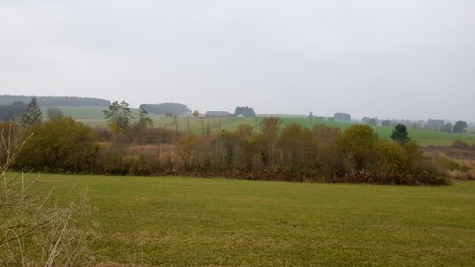 Thommen-Thommer Weiher (10)