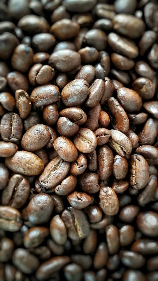 Coffee bean kitchen stimulant
