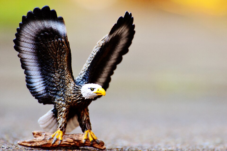 Toys bird of prey bird