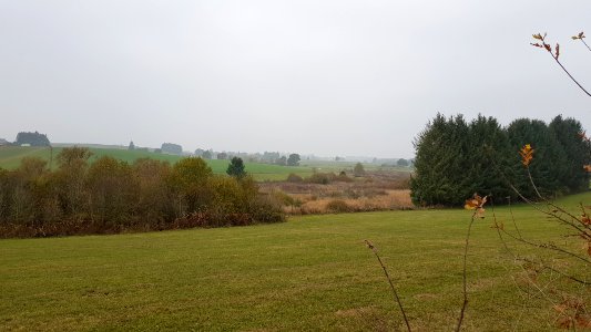 Thommen-Thommer Weiher (11)