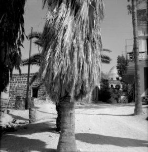 Tiberias-Hammat Gebouwen bij het mausoleum van rabbi Meir met een poort met een, Bestanddeelnr 255-4120