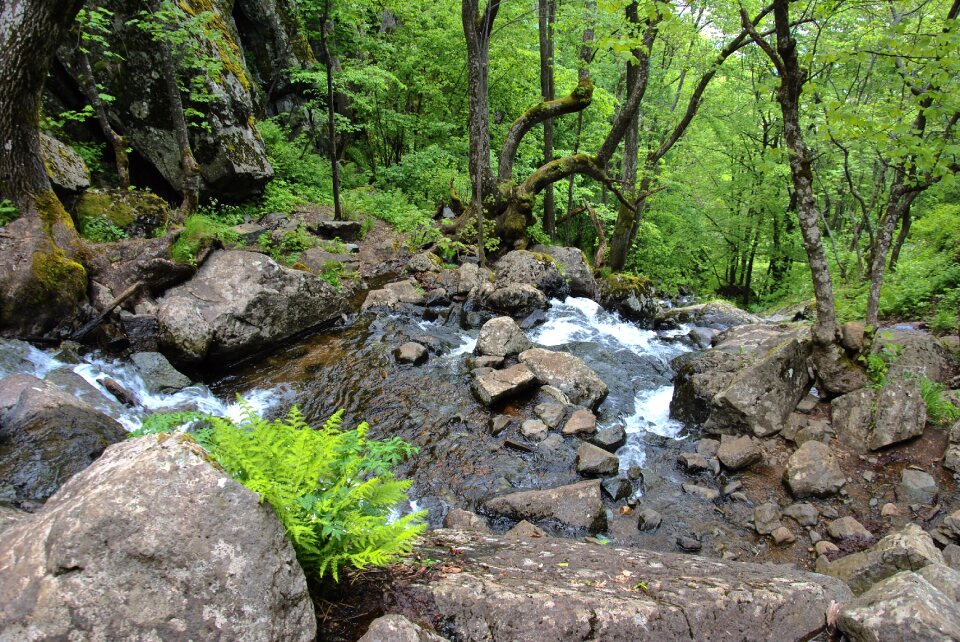 Forest green waterfall