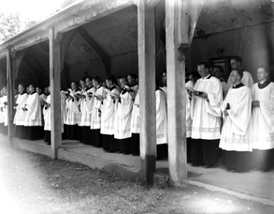 Theologanten van het groot-seminarie Rijzenburg in de processie ter herdenking v, Bestanddeelnr 902-8363