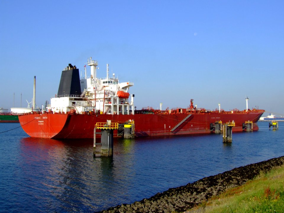 THERESA ARCTIC - IMO 8715508