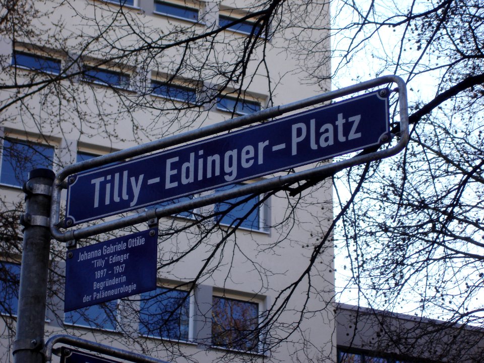 Tilly-Edinger-Platz, Frankfurt-Bockenheim, Robert-Mayer-Straße