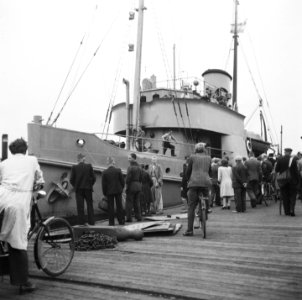 Thuiskomst van de sleepboot Amsterdam, Bestanddeelnr 900-6286
