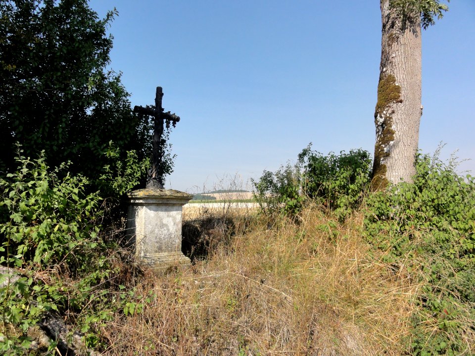 Tilly-sur-Meuse (Meuse) croix de chemin face au cimetière