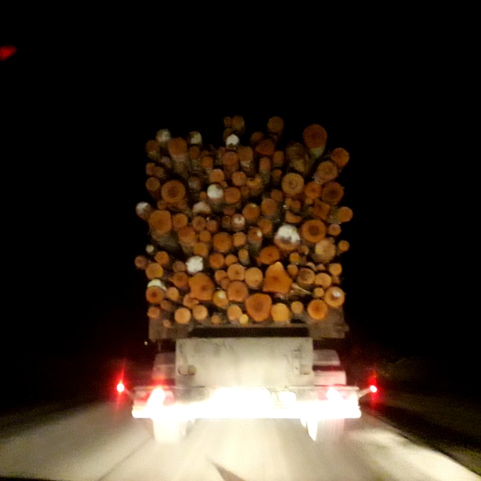 Timber trucks in Koryazhma (24)