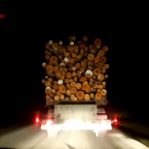 Timber trucks in Koryazhma (24) photo