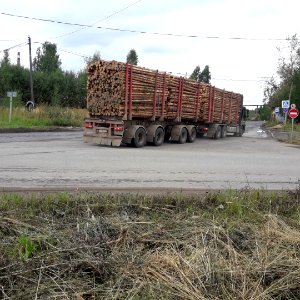 Timber trucks in Koryazhma (04) photo