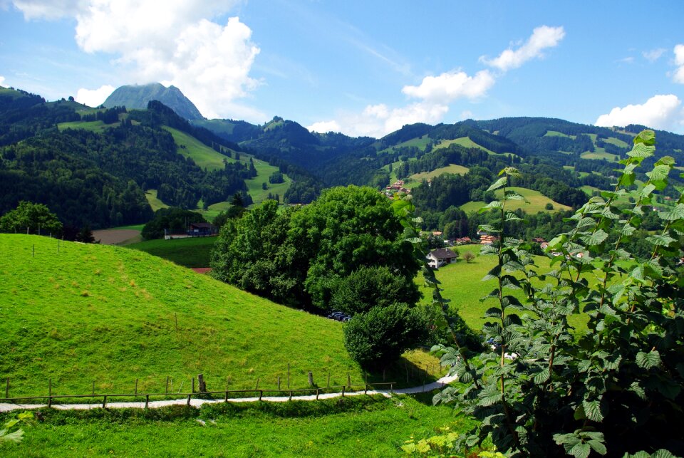 Scenery european alps