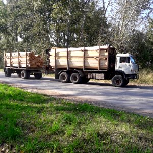 Timber trucks in Koryazhma (07)