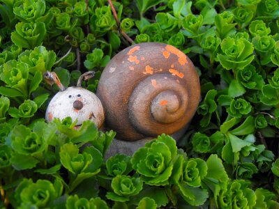Decor garden dwarf