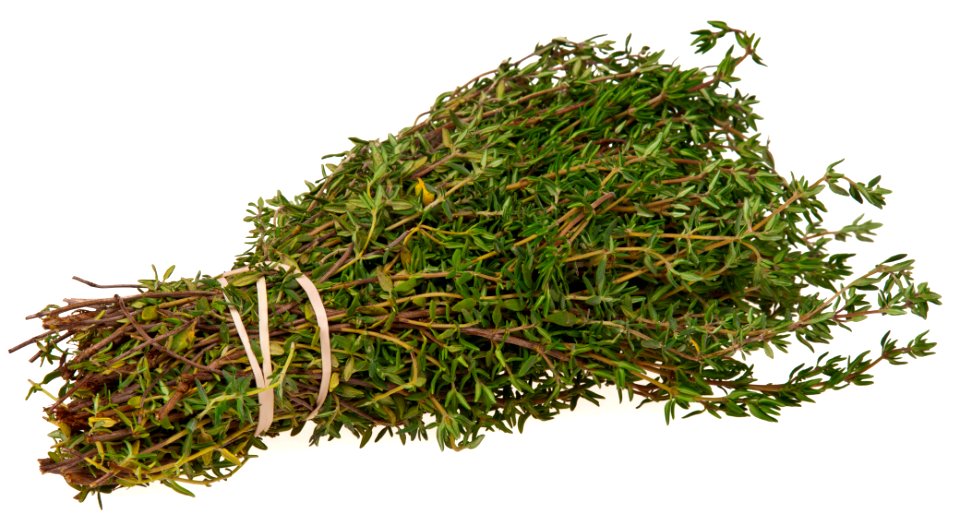 Thyme-Bundle