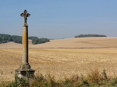 Tilly-sur-Meuse (Meuse) croix de chemin nord