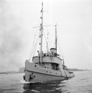 Thuiskomst van de sleepboot Amsterdam, Bestanddeelnr 900-6296