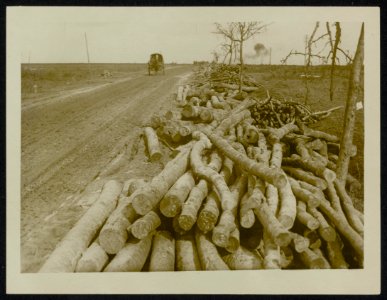 Timber stacked up for road making, Bestanddeelnr 158-0401
