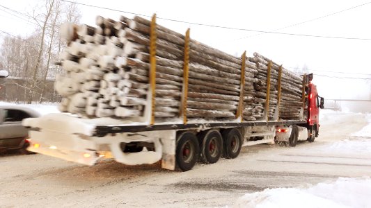 Timber trucks in Koryazhma (18) photo