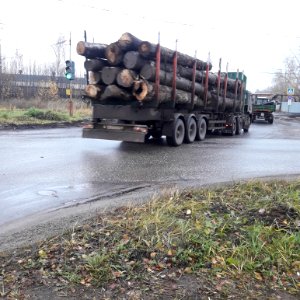 Timber trucks in Koryazhma (09) photo