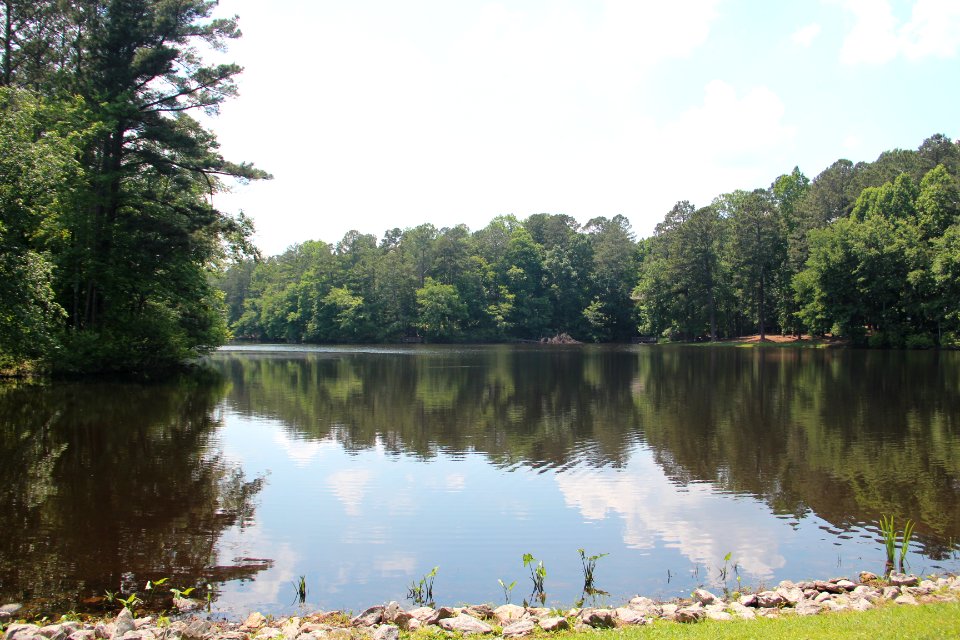 Timber Lake, Bartow County, GA May 2019