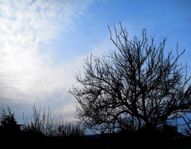 Country blue summer