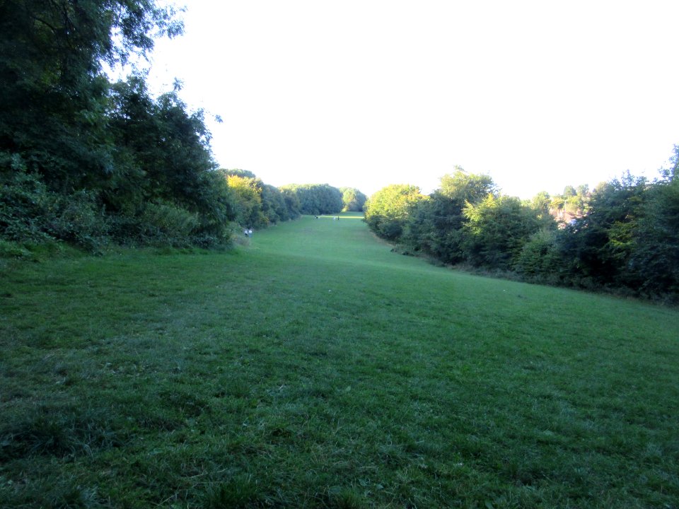 Three Cornered Copse, Hove (August 2016) (7)