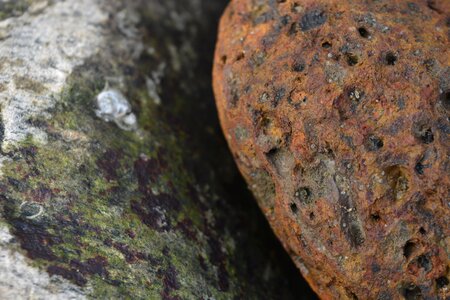 Close up sea stone nature