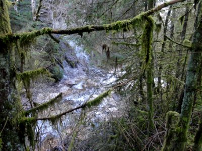 Tiers Breibach (07)