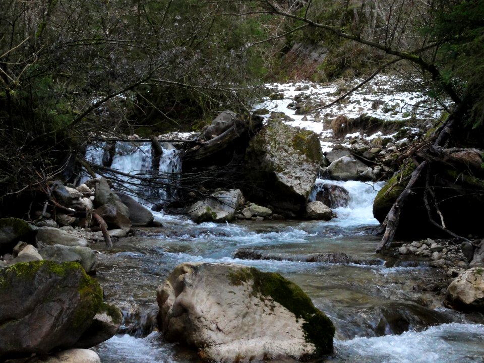 Tiers Breibach (01)