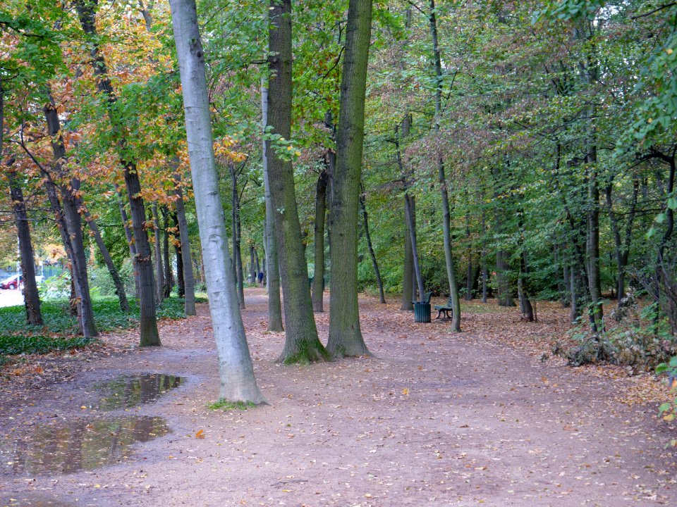 Tiergarten at Tiergartenstraße 2019-10-19 02