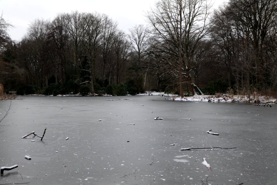 Tiergarten Berlin with ice and snow 2021-02-06 04
