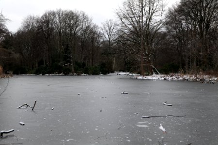 Tiergarten Berlin with ice and snow 2021-02-06 04