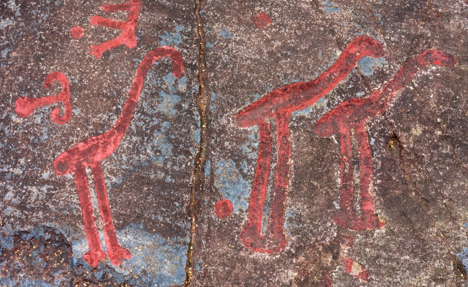 Three cranes at Cobbler's Cliff Backa Brastad