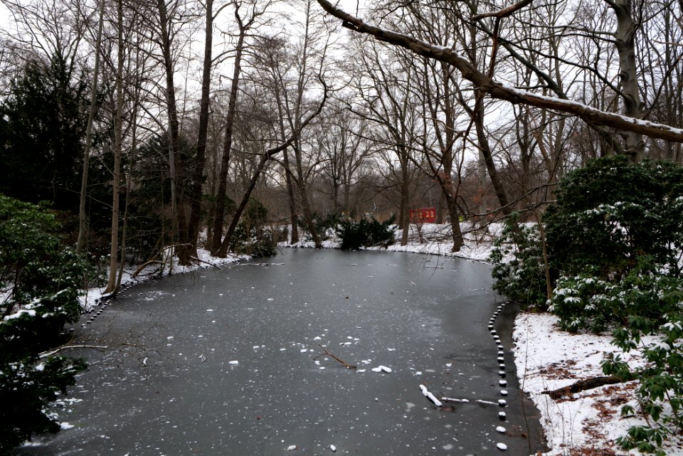 Tiergarten Berlin with ice and snow 2021-02-06 07