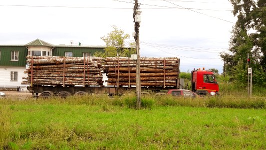 Timber trucks in Koryazhma (29) photo