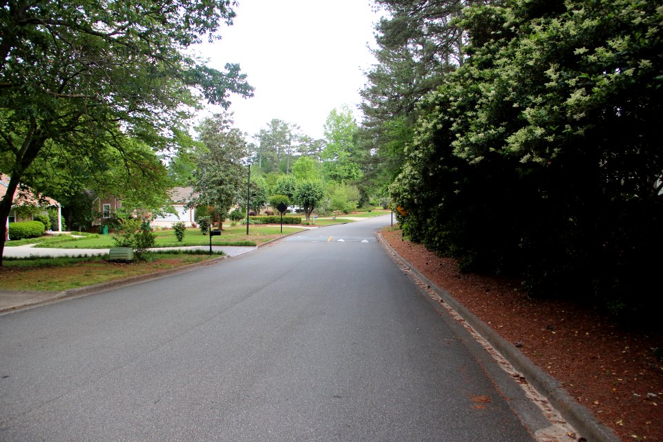 Timberstone Road, Johns Creek April 2017