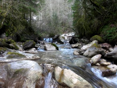 Tiers Breibach (02)