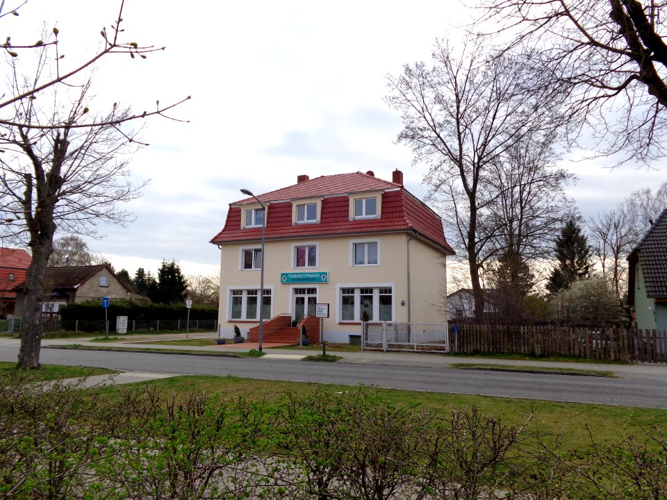 Tierarzt Buchheister Schulzendorf