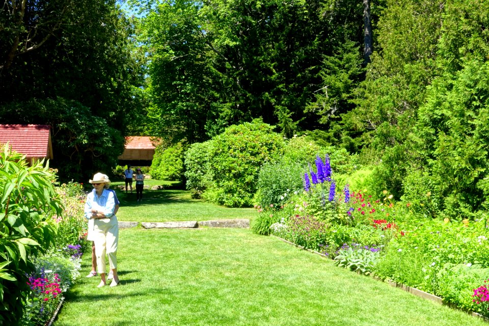 Thuya Garden - Northeast Harbor, Maine - DSC03755