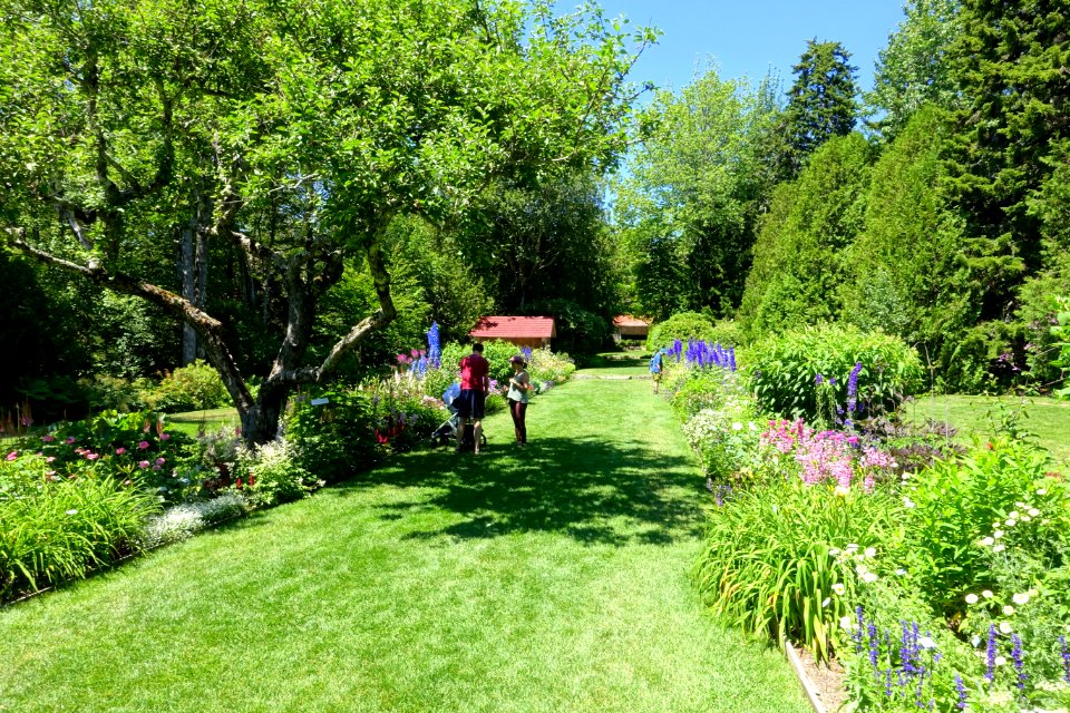 Thuya Garden - Northeast Harbor, Maine - DSC03727
