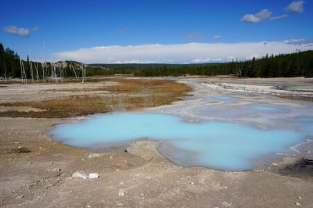 Yellowstone geezer usa