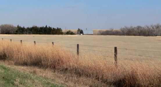 Thornburg barn (Ness Co KS) from WNW 2