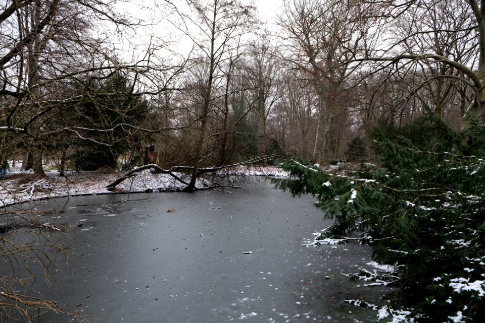 Tiergarten Berlin with ice and snow 2021-02-06 08