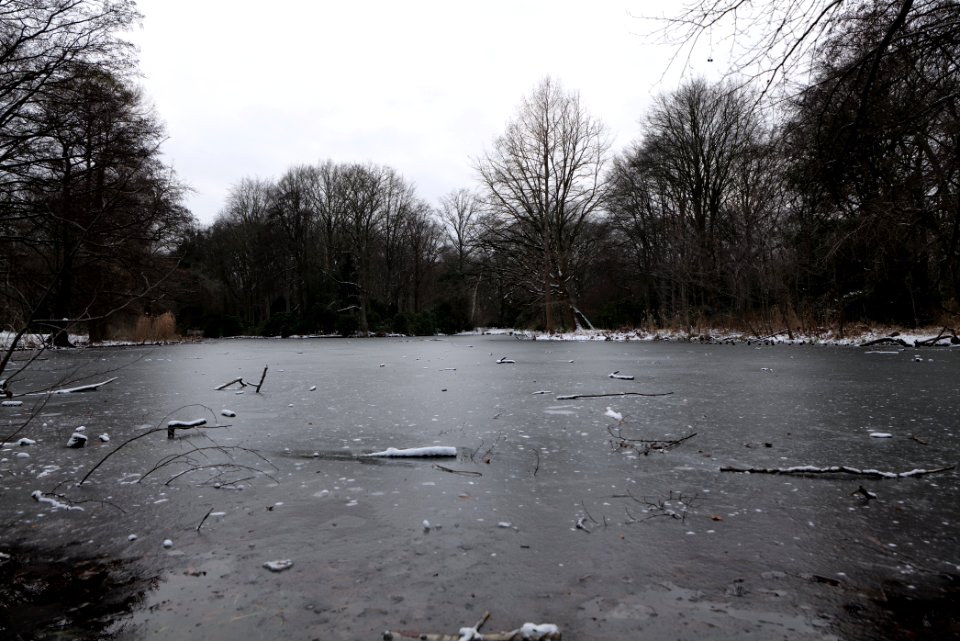 Tiergarten Berlin with ice and snow 2021-02-06 01