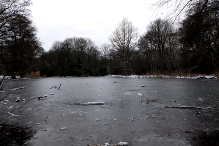 Tiergarten Berlin with ice and snow 2021-02-06 01