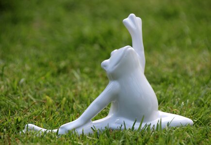 Yoga frog gymnastics