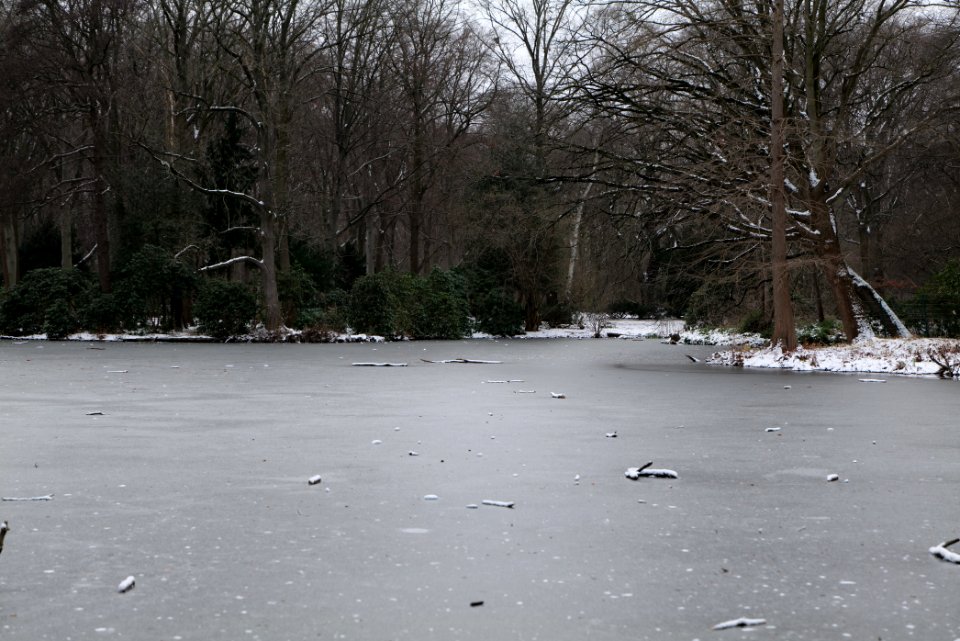 Tiergarten Berlin with ice and snow 2021-02-06 03