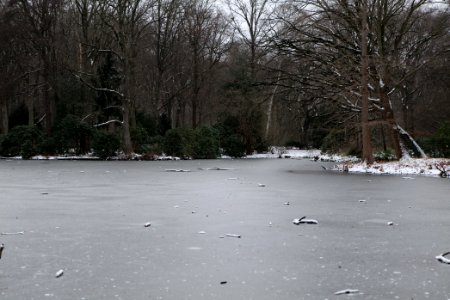 Tiergarten Berlin with ice and snow 2021-02-06 03