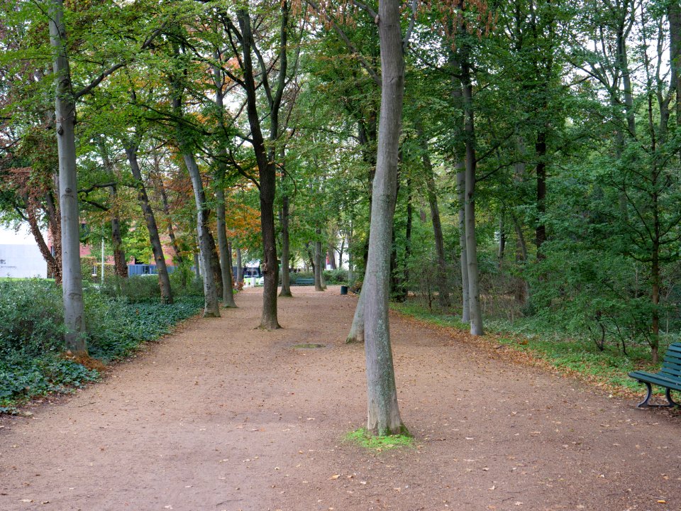 Tiergarten at Tiergartenstraße 2019-10-19 03